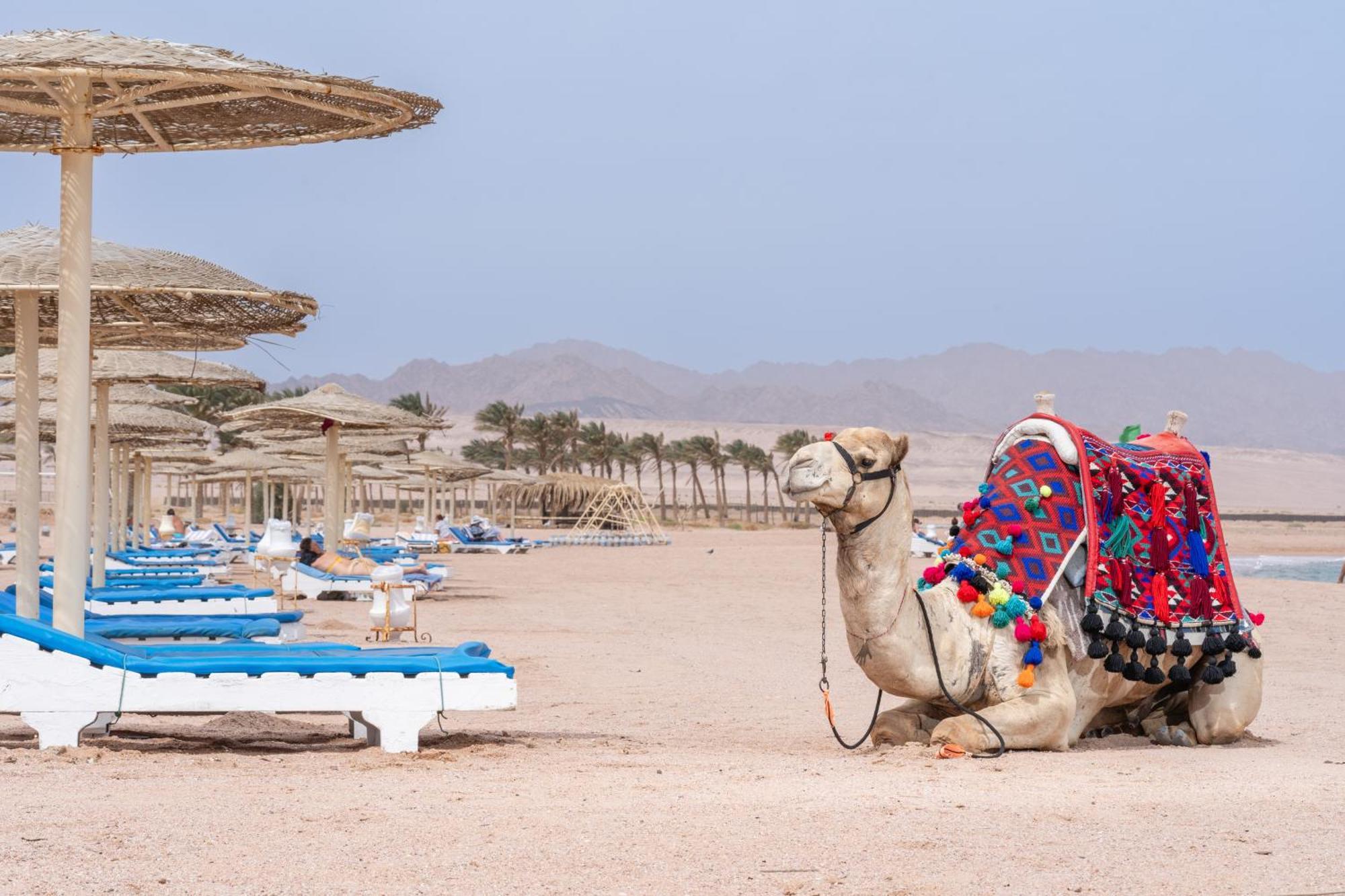 Faraana Heights Aqua Park Hotel Sharm El Sheikk Exterior foto